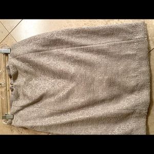 Ann Taylor shimmer skirt-size 2